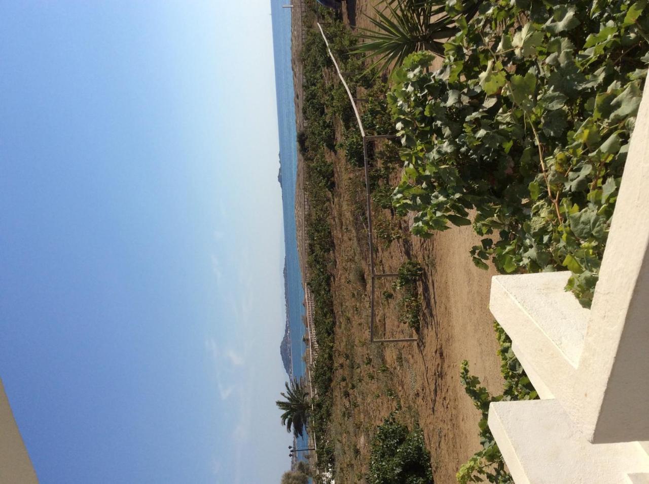 Aronis Plaka Naxos Daire Dış mekan fotoğraf